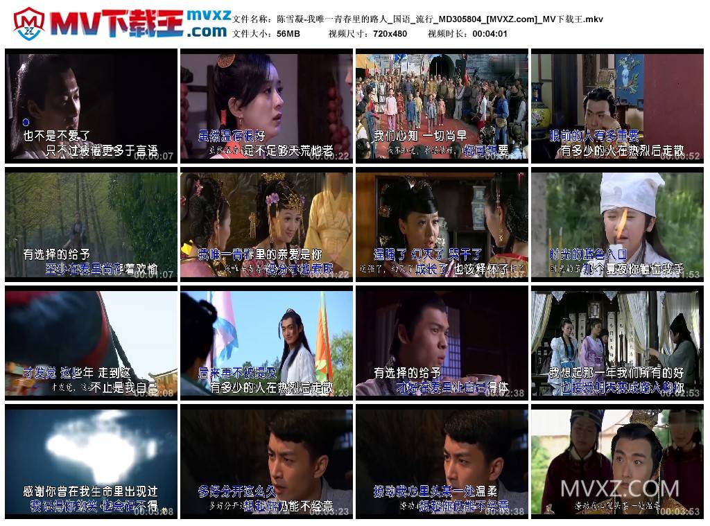 陈雪凝-我唯一青春里的路人_国语_流行_MD305804